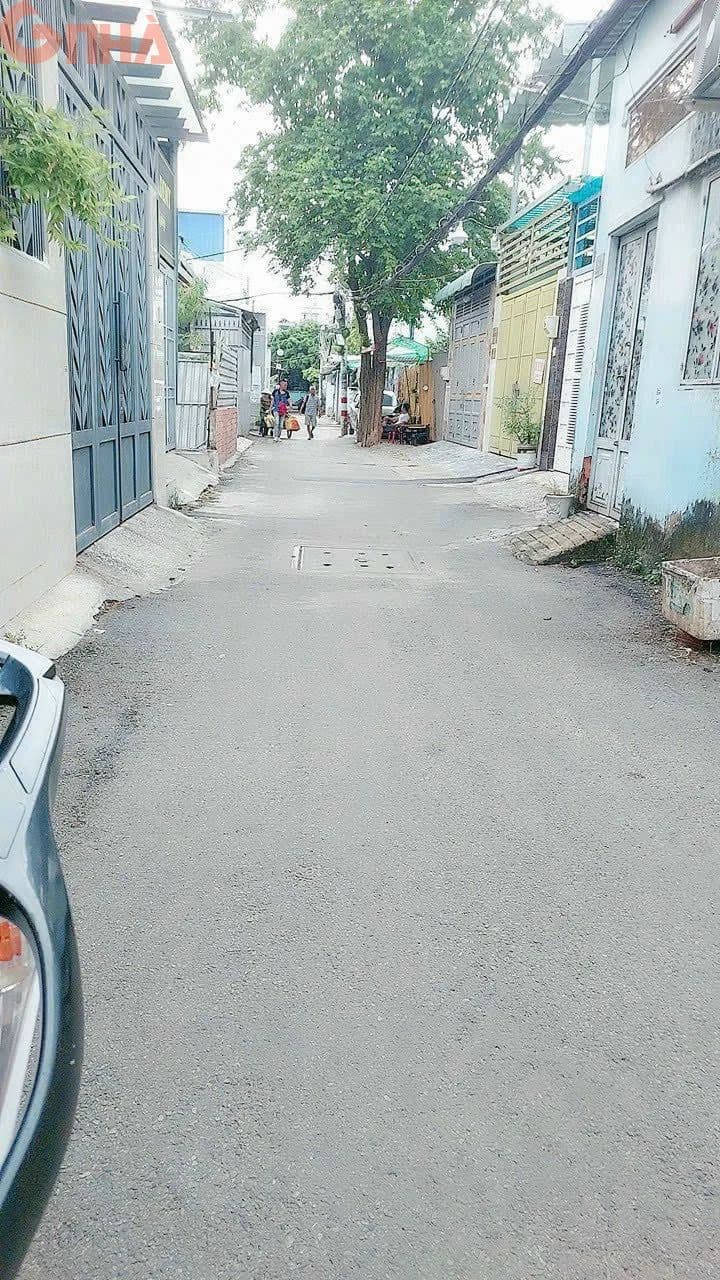 main