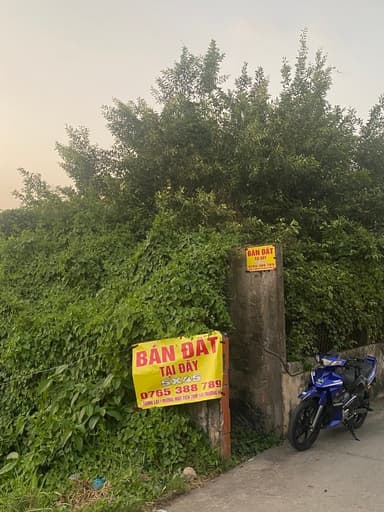 CHÍNH CHỦ BÁN ĐẤT THỔ CƯ HẺM HOÀNG PHAN THÁI ( BÌNH CHÁNH ) TP HCM